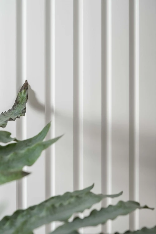 2ec5aca7ca85adfaec5c894cbf761773