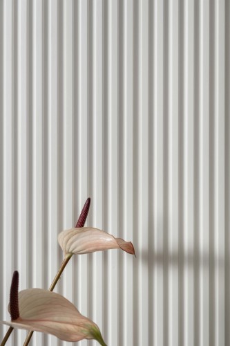 d257865ad82da0196b52708ecc248e15